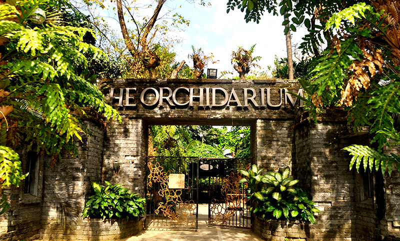 Манильский Орхидариум