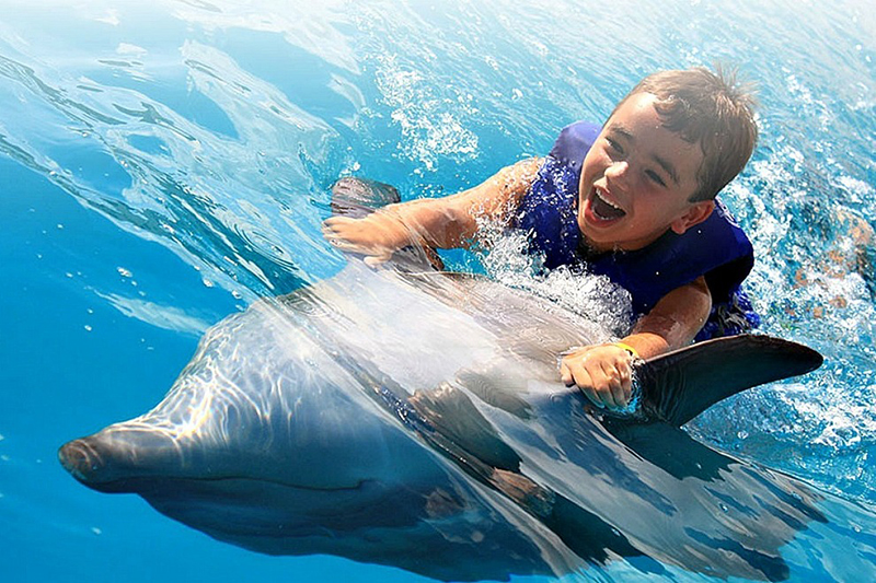 Дельфинарий Cabo Dolphins
