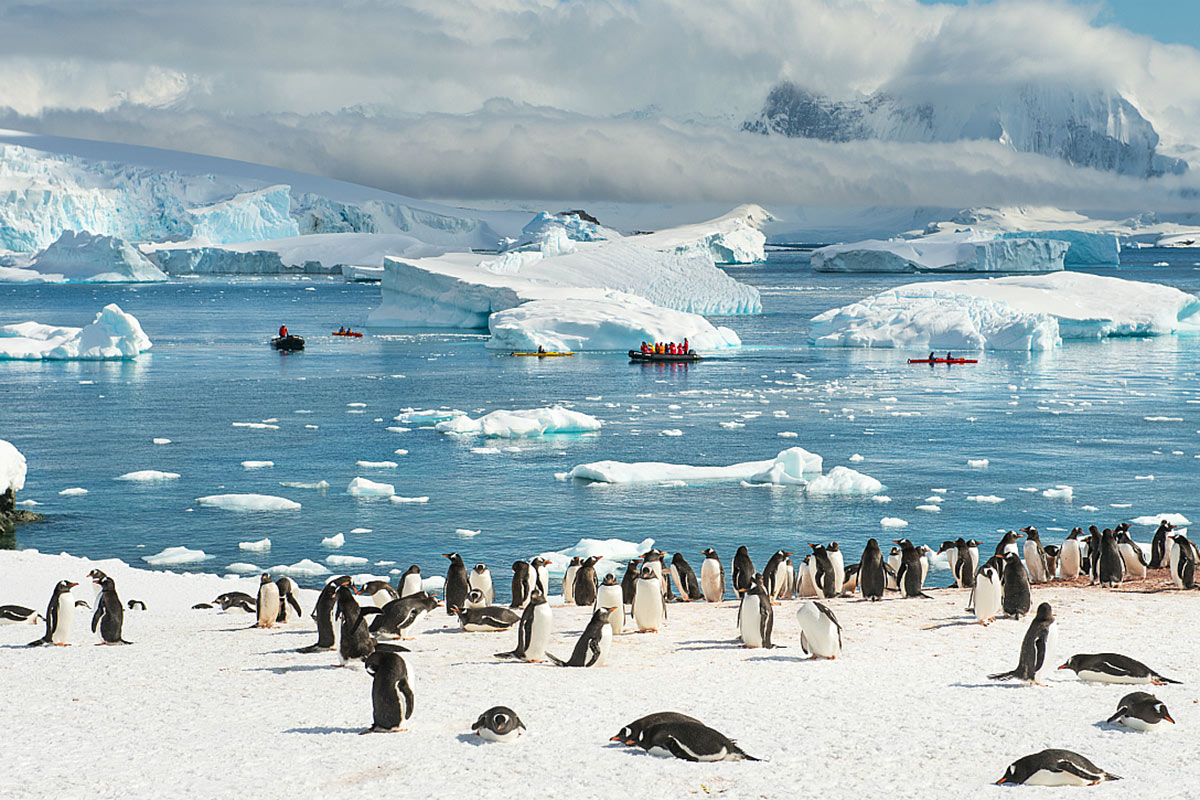 Cruise Antarctica